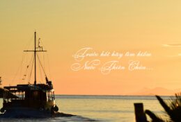 02. HOÁN CẢI – Quay Lại