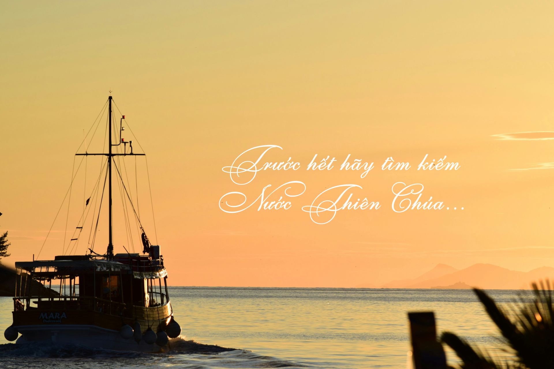 matthew waring 2LurwBfxnW0 unsplash