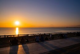 07. NIỀM VUI – Hoa Trái của Hy Vọng