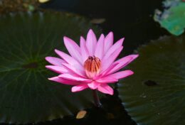 04. HOÁN CẢI – Lời Mời Gọi Hoán Cải