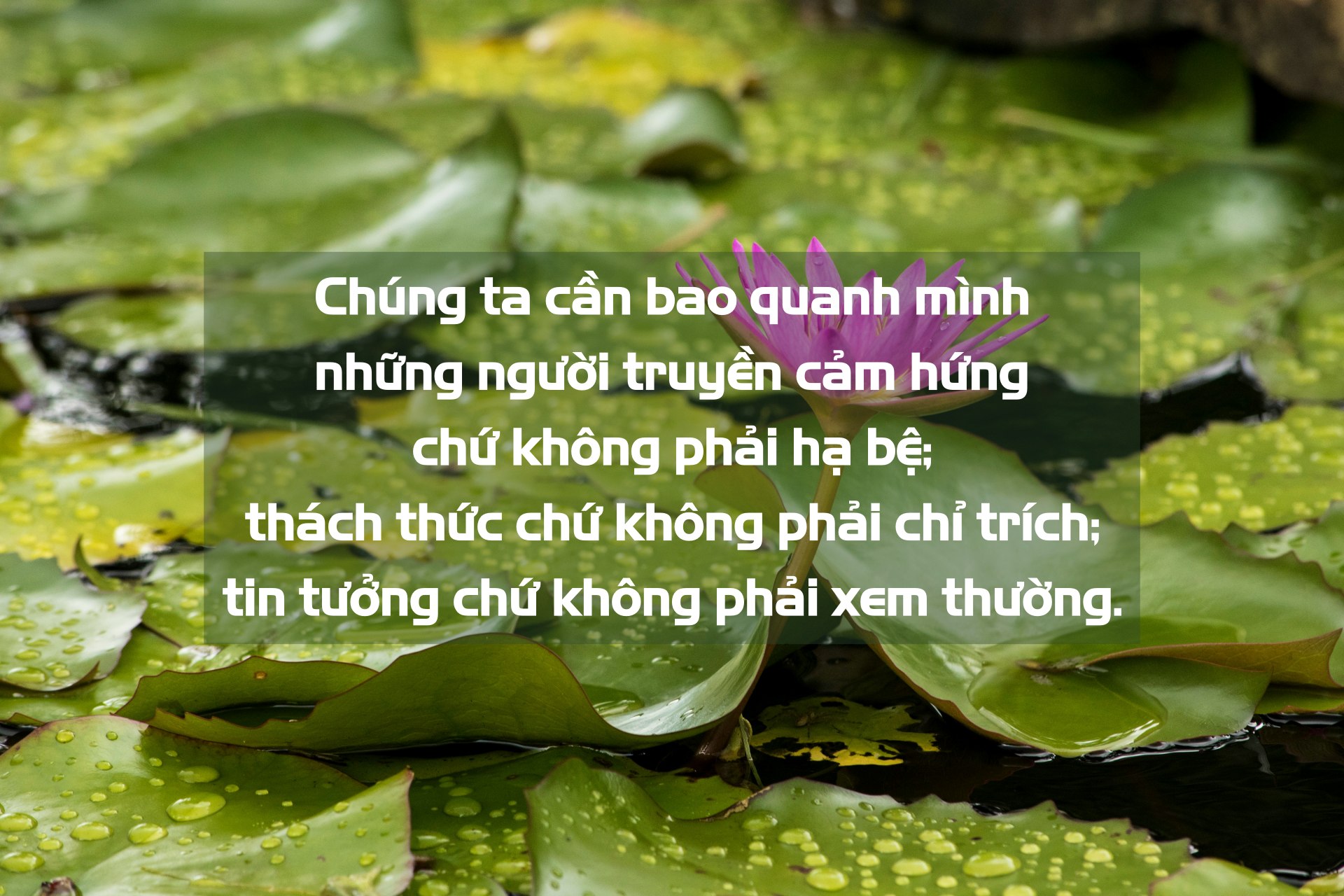 suzanne d williams CJlDFn0u0mo unsplash