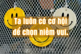 02. NIỀM VUI – Sự Chọn Lựa