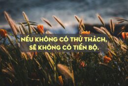 KHÔNG PHẢI MỌI KẺ THÙ ĐỀU LÀ KẺ THÙ…