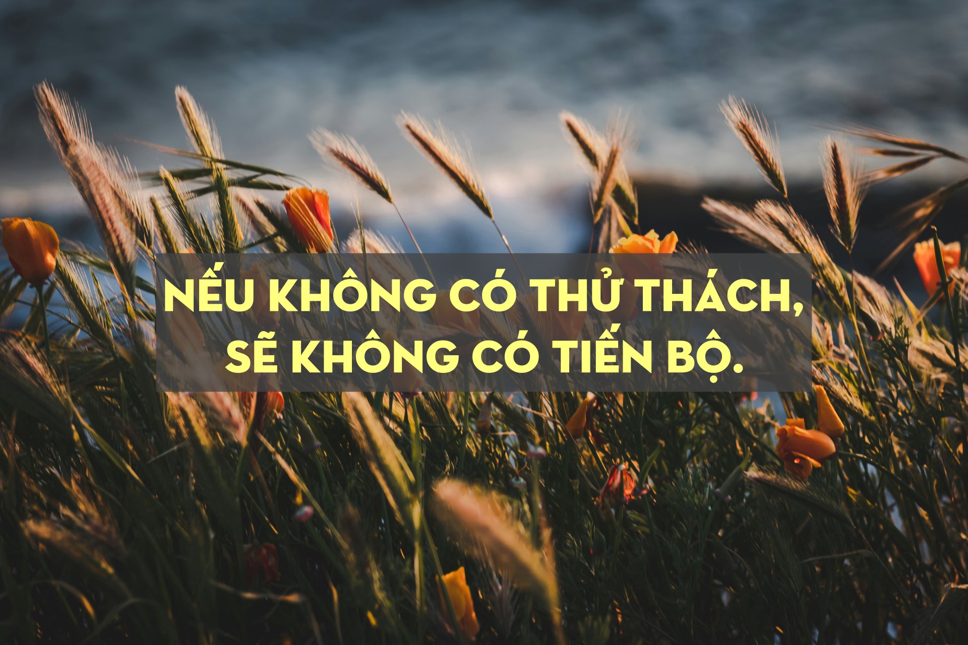 tim mossholder w1phsZY6eRM unsplash