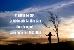 NHỮNG ĐIỀU VĨ ĐẠI ĐƯỢC ĐỊNH ĐOẠT BỞI THIÊN CHÚA, NHƯNG CẦN NHỮNG TÂM HỒN CẦU NGUYỆN ĐỂ ĐÓN NHẬN…