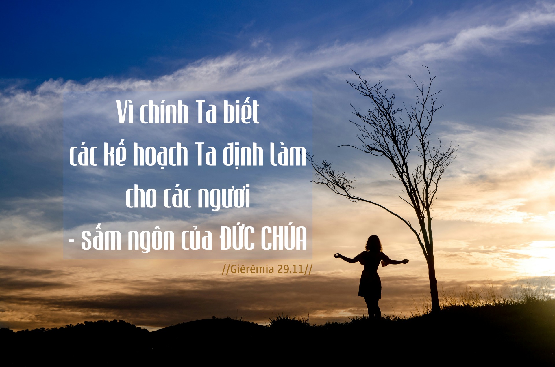 ton nettos rKl4BxLQS2Q unsplash