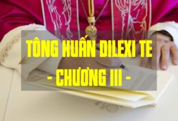 BẢN DỊCH TÔNG HUẤN DILEXI TE CỦA ĐTC LÊÔ XIV – CHƯƠNG III – MỘT HỘI THÁNH DÀNH CHO NGƯỜI NGHÈO