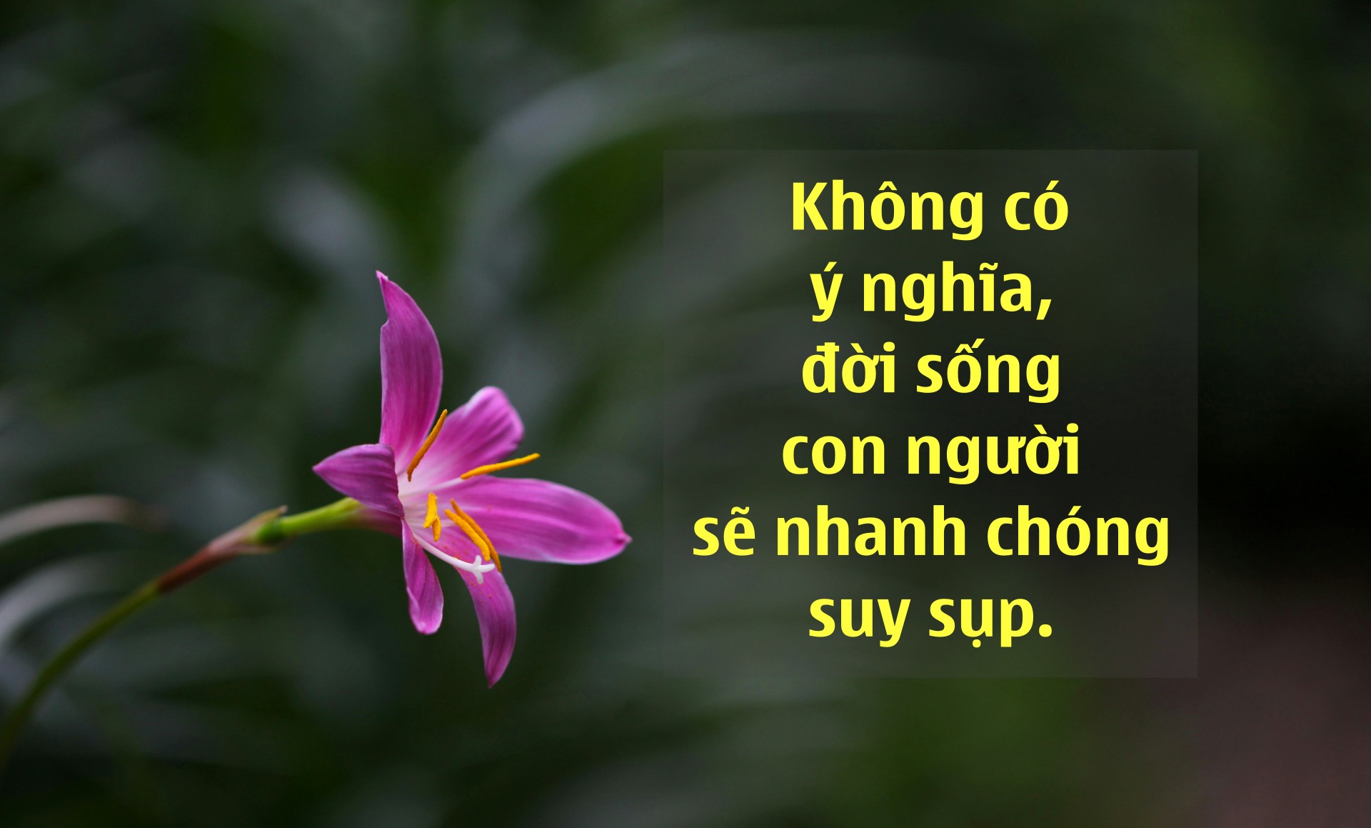 daejeung kim c2rJko2e 14 unsplash