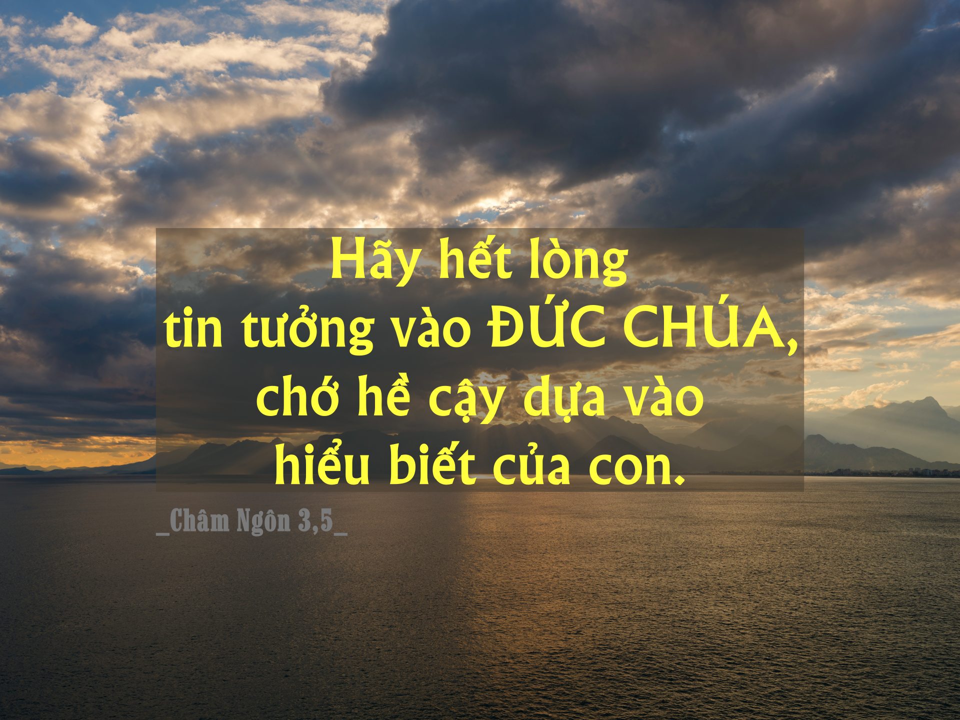 engin akyurt cmXp7rp8DCU unsplash