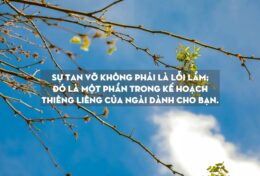 BẠN KHÔNG PHẢI ĐANG TAN VỠ; BẠN ĐANG ĐƯỢC ĐỔI MỚI…