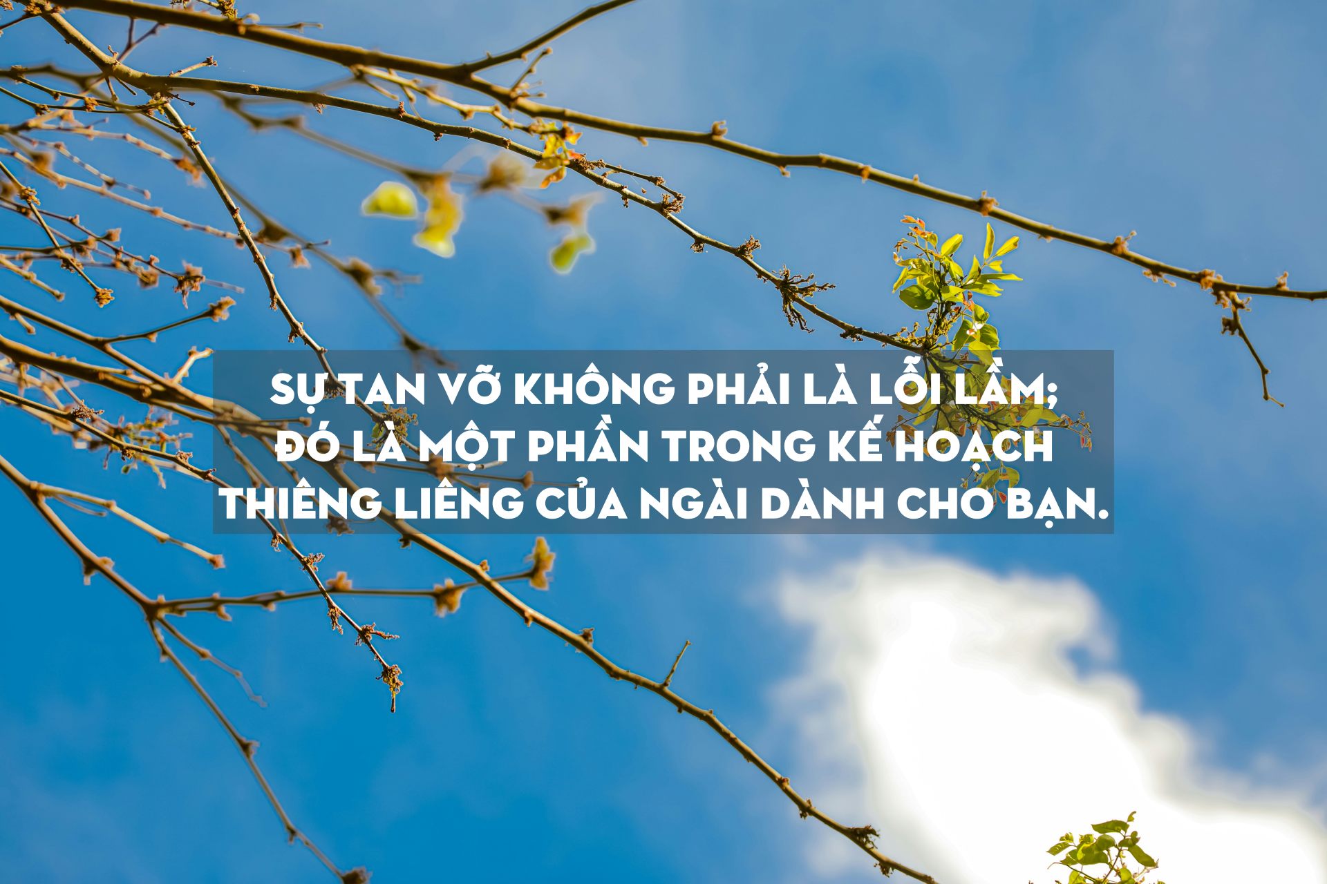 gaf clickz U6MXx7ka2vA unsplash