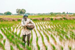 BẠN ĐƯỢC GIEO TRỒNG, CHỨ KHÔNG PHẢI BỊ CHÔN VÙI…