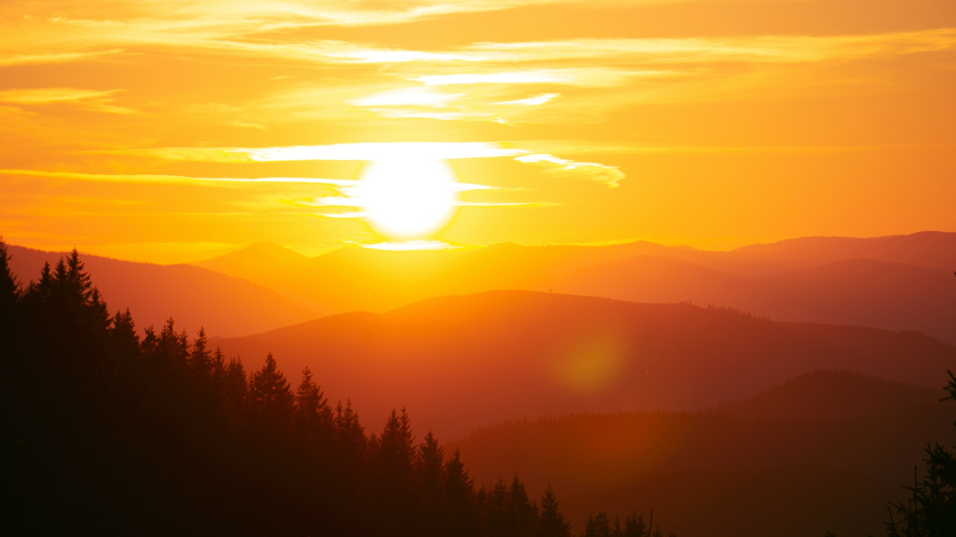 levi kyiv qqAtjmGB1RI unsplash