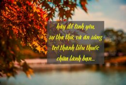 NẾU BẠN MUỐN ĐƯỢC CHỮA LÀNH, ĐỪNG CÀO XÉ VẾT THƯƠNG NỮA…