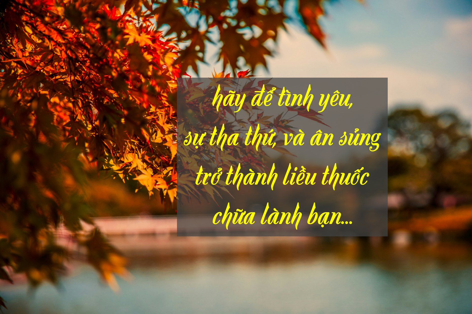 lyndon li zrT1tjnxJKQ unsplash