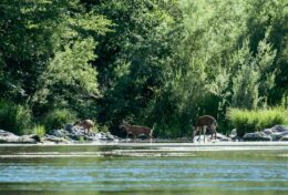 04. CẦU NGUYỆN – CHẲNG THIẾU THỐN GÌ