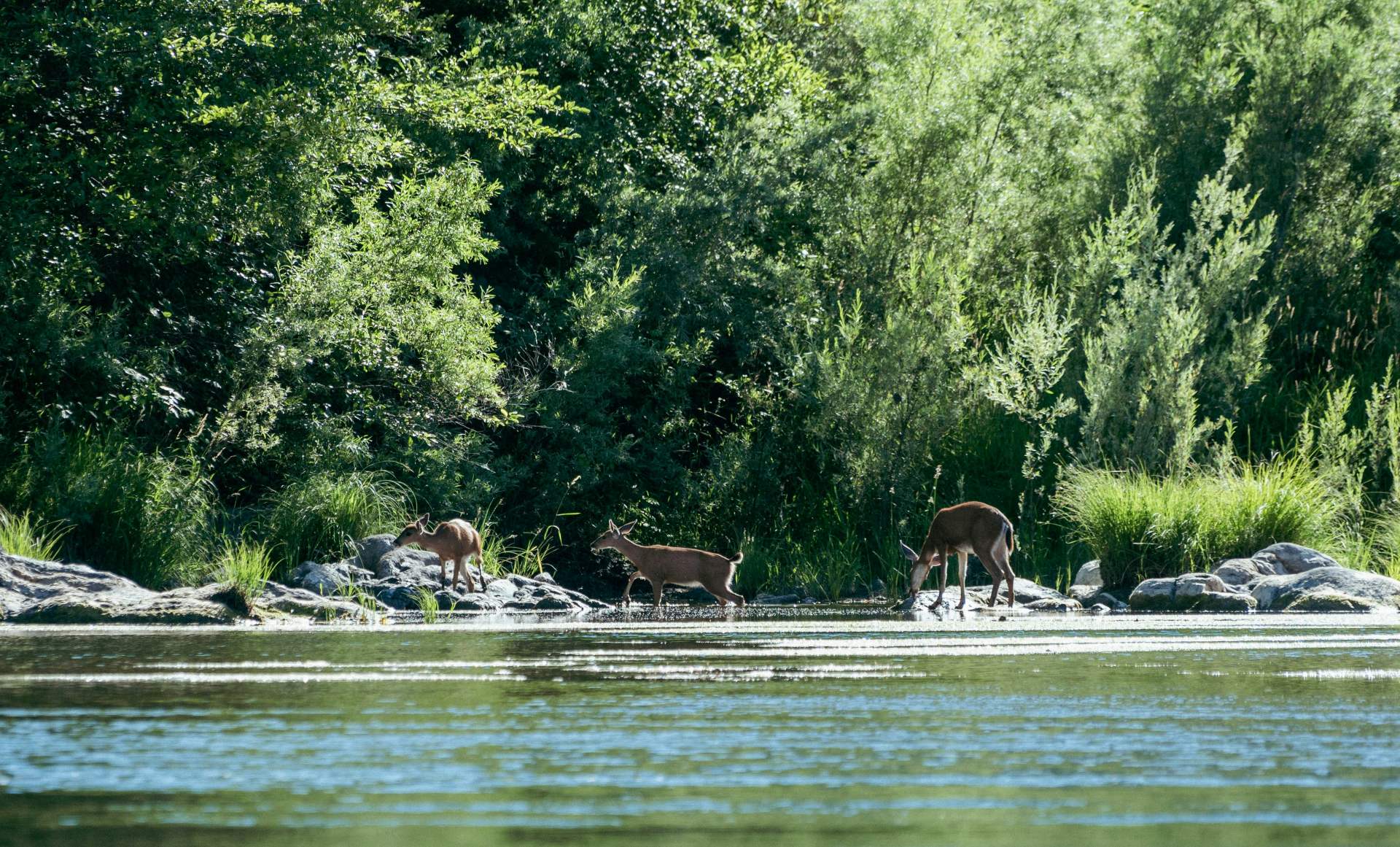 megan nixon 33Ou kImVU unsplash