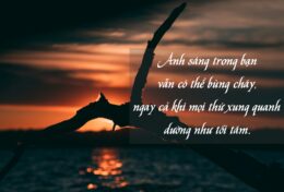 TỎA SÁNG NGAY CẢ KHI TRÁI TIM TA ĐANG RẠN NỨT