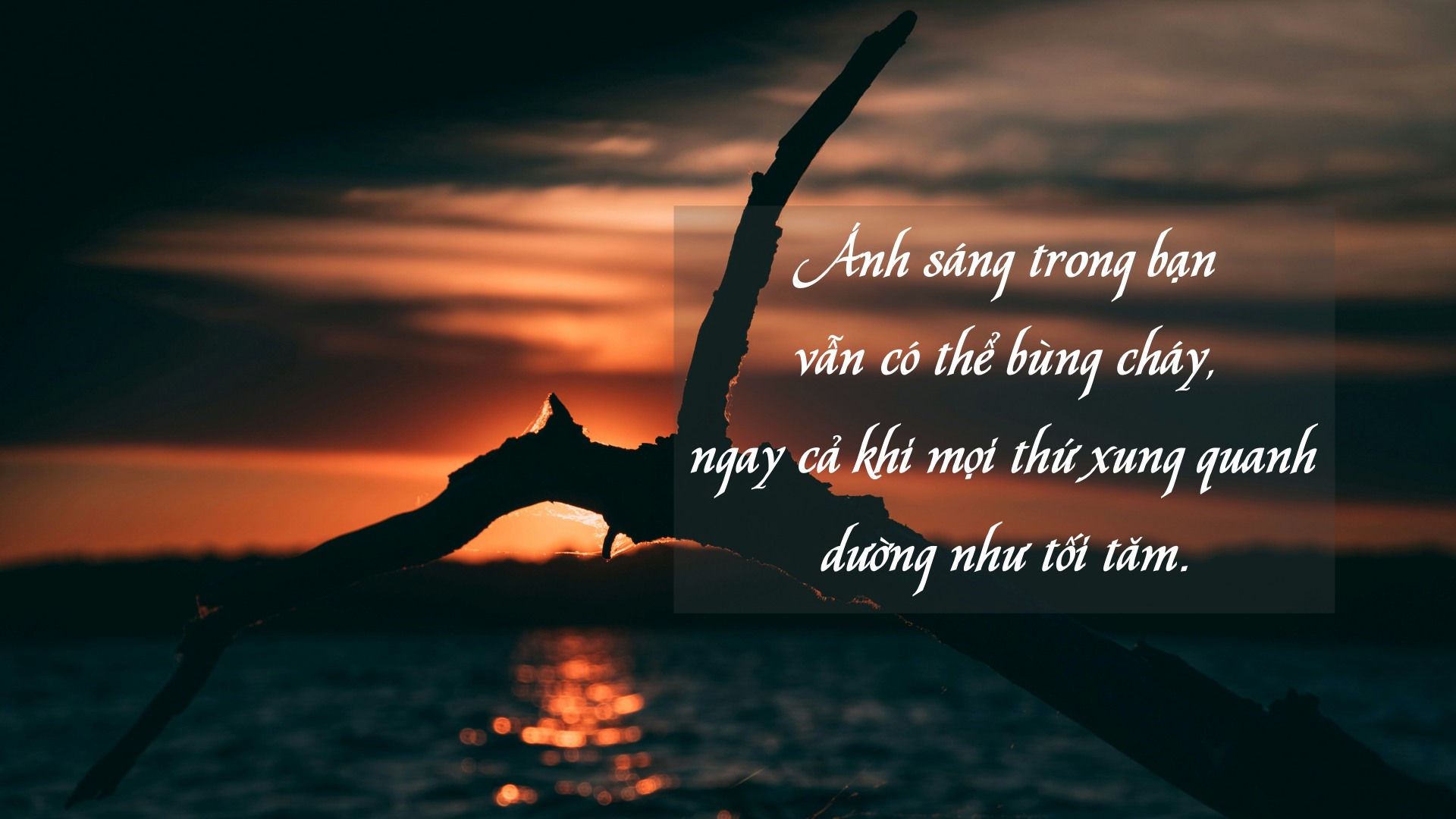 megs harrison hf6IJhzF4lE unsplash