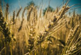 08. ĐỜI SỐNG THIÊNG LIÊNG – Hai Người Một Nhóm