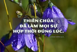 THỜI GIAN CỦA THIÊN CHÚA KHÔNG BAO GIỜ MUỘN VÀ SỰ HƯỚNG DẪN CỦA NGÀI LUÔN CÓ MỤC ĐÍCH