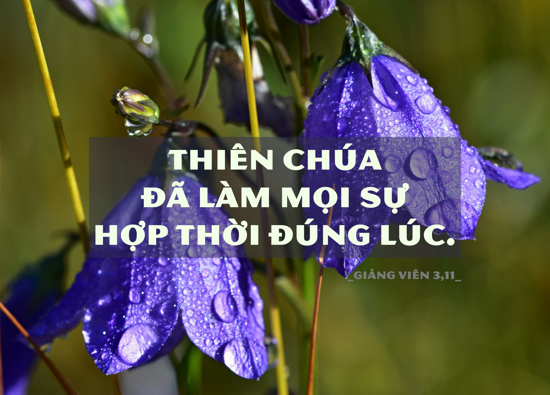 mike b ceo945M0B10 unsplash