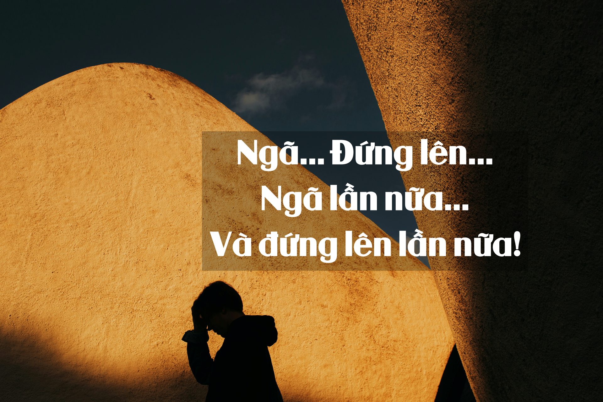 vladyslav tobolenko 812flwl21hw unsplash