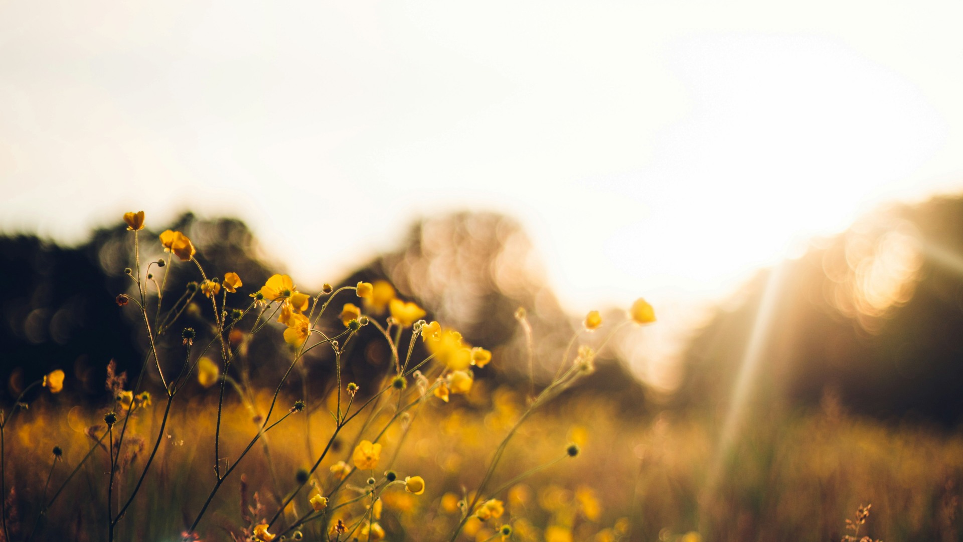 dan senior KDIXcQfCjSU unsplash