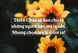 06. CÁC MỐI TƯƠNG QUAN – CHỌN BẠN HỮU CỦA CHÚNG TA
