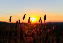 ĐỪNG THẤT VỌNG KHI NGƯỜI TA TỪ CHỐI GIÚP ĐỠ…