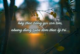 HÃY THEO TIẾNG GỌI CON TIM, NHƯNG ĐỪNG QUÊN ĐEM THEO LÝ TRÍ