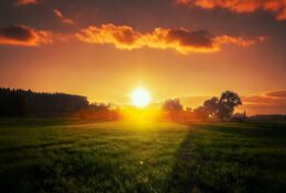 07. CẦU NGUYỆN – MÔI TRƯỜNG THIÊNG LIÊNG