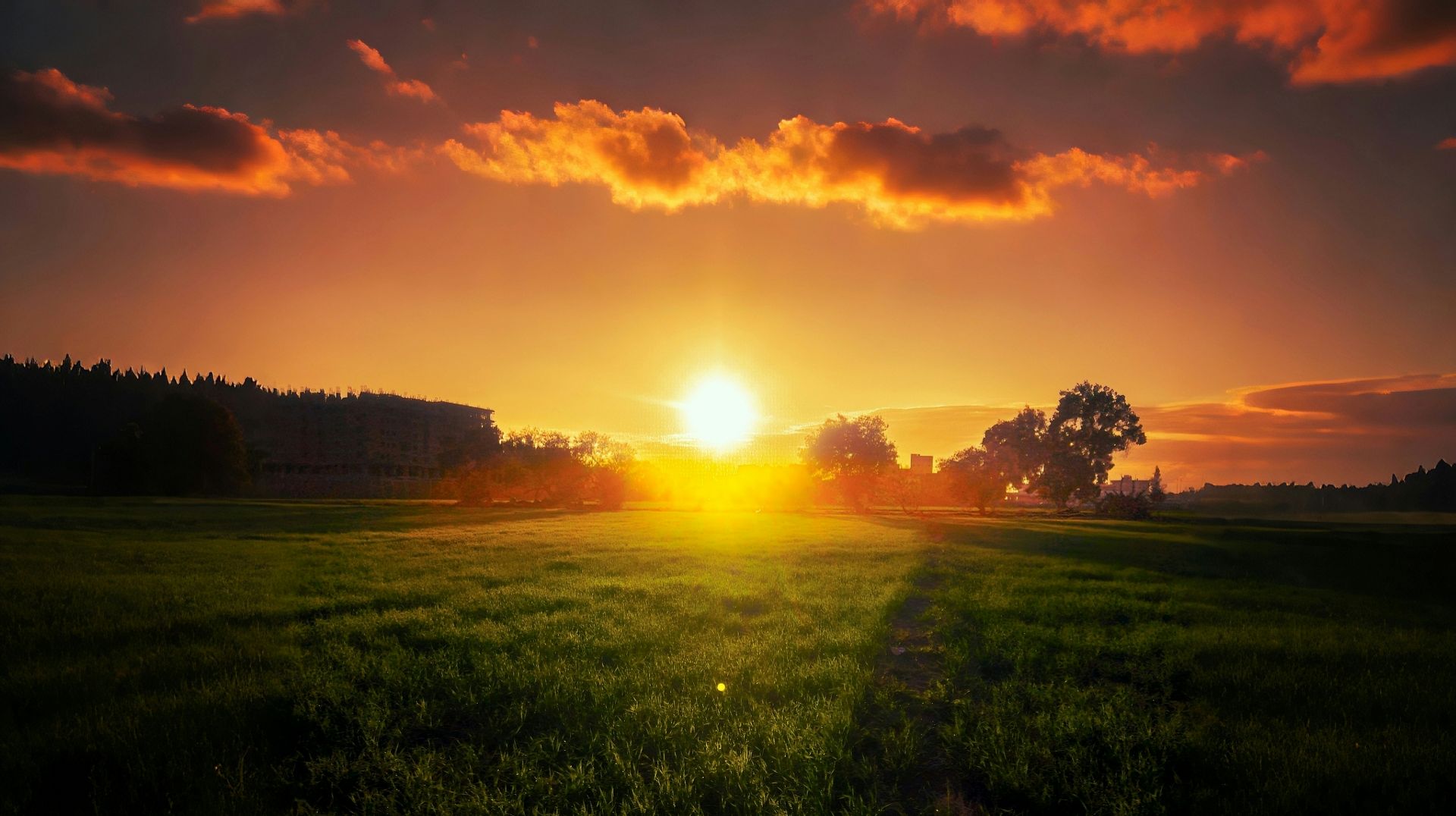 kareem abo el magd xnzwJWCA9pU unsplash