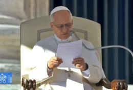 ĐTC Lêô XIV: Nếu không là người bảo vệ, con người sẽ là kẻ phá hủy công trình sáng tạo