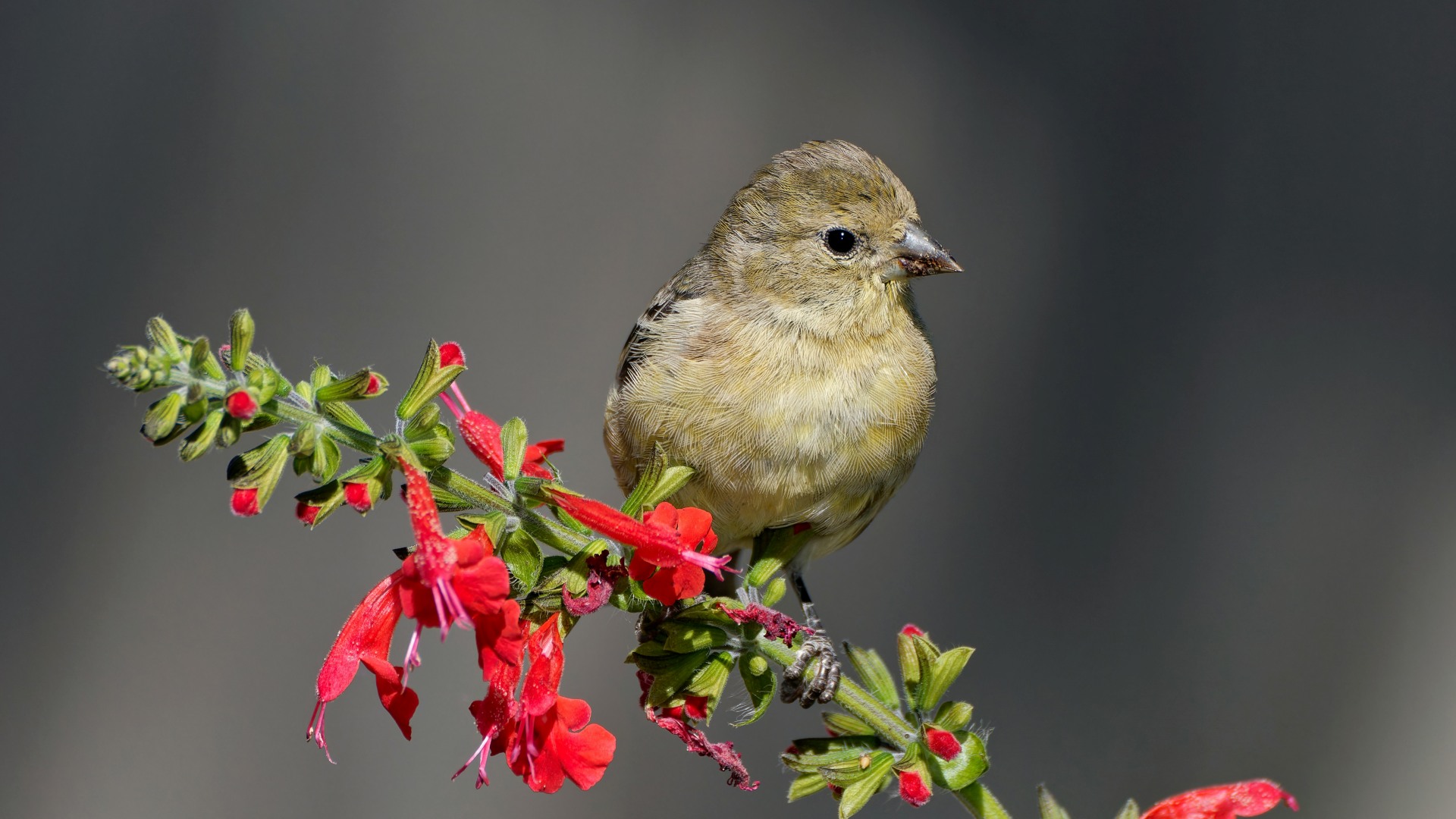 patrick bigelow JnqkLWSKK M unsplash