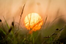 THIÊN CHÚA MỚI LÀ ĐẤNG NẮM GIỮ CUỘC ĐỜI TA TRONG TAY NGÀI, HÃY NÓI “KHÔNG” KHI CẦN THIẾT…