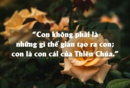 01. CHÚNG TA LÀ AI – CHÚNG TA LÀ NHỮNG NGƯỜI CON YÊU DẤU CỦA THIÊN CHÚA