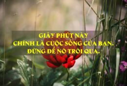 GIÂY PHÚT NÀY LÀ CUỘC SỐNG CỦA BẠN