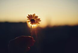 06. CHÚNG TA LÀ AI – TRỞ VỀ NHÀ