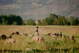 HÀNH TRÌNH CỦA BẠN PHỤ THUỘC VÀO NHỮNG TIẾNG NÓI BẠN LẮNG NGHE