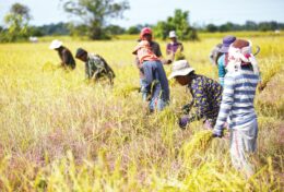 KHI BẠN ĐƯỢC TRUYỀN CẢM HỨNG, HÃY BẮT TAY VÀO LÀM VIỆC