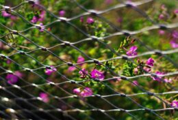 ĐẶT RANH GIỚI CHO TÌNH YÊU CỦA BẠN