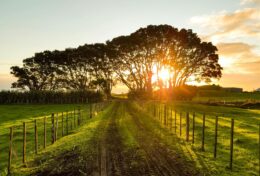 BƯỚC VÀO VÙNG ĐẤT MỚI