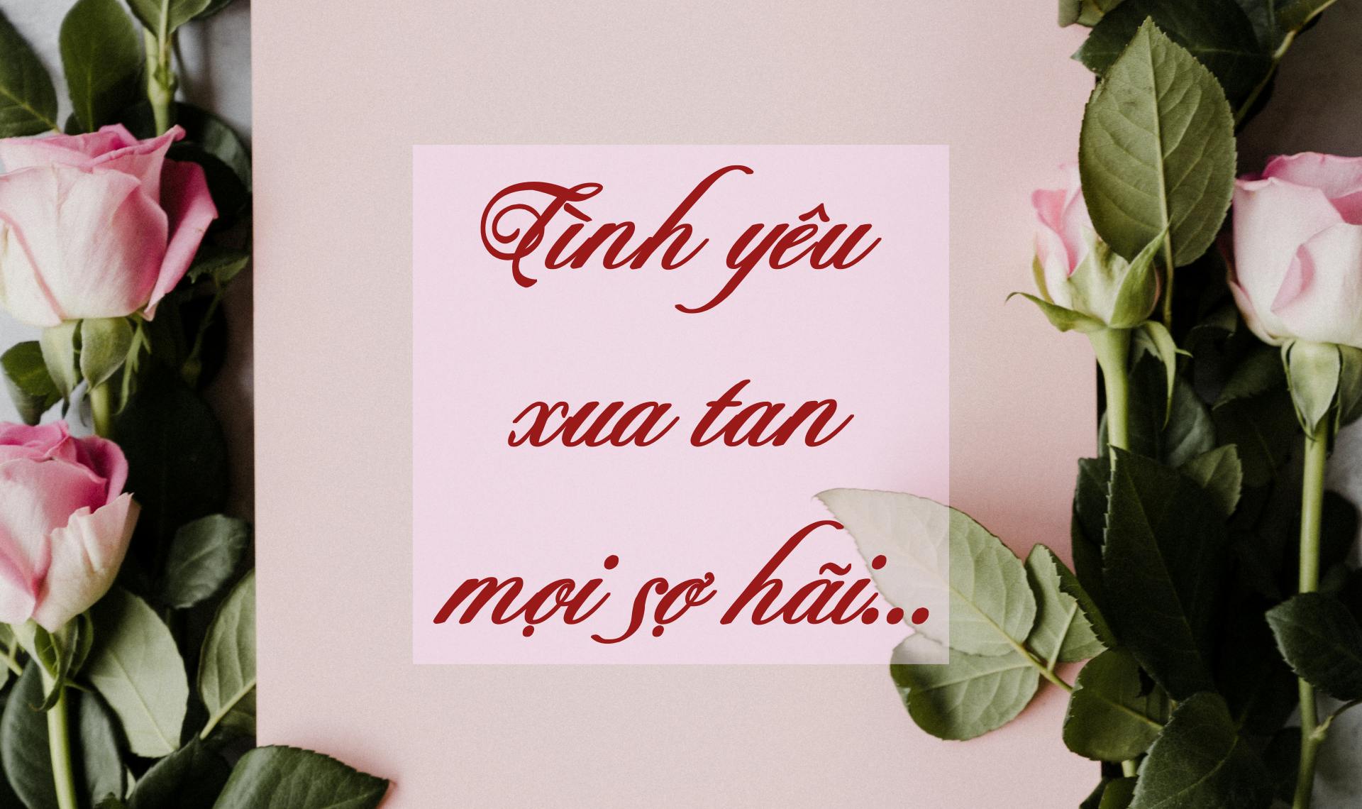 annie spratt 7JVVnuoabKI unsplash