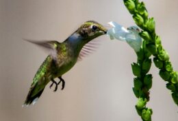 HÃY SỐNG KỶ LUẬT VÌ BẠN SẼ KHÔNG PHẢI LÚC NÀO CŨNG ĐƯỢC TRUYỀN CẢM HỨNG…