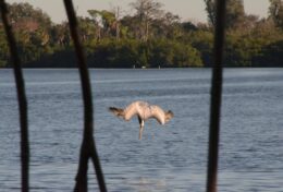 ĐỪNG KẾ THỪA KẺ THÙ CỦA NGƯỜI KHÁC