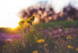 BẠN SẼ KHÔNG GỤC NGÃ KHI HỌ RỜI ĐI; CÓ THỂ BẠN SẼ BẮT ĐẦU TRƯỞNG THÀNH VÀ TỎA SÁNG…