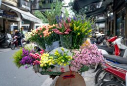 THIÊN CHÚA Ở CÙNG BẠN; ĐỪNG SỢ HÃI…