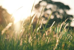 THIÊN CHÚA CỦA CHÚNG TA LÀ ĐẤNG CHUYÊN GIẢI QUYẾT NHỮNG TRƯỜNG HỢP KHÔNG THỂ…