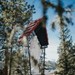 CHÚA GIÊSU ĐÃ TRAO CHÚNG TA CHO MẸ NGƯỜI, ĐỪNG ĐỂ AI TÁCH RỜI BẠN KHỎI MẸ…